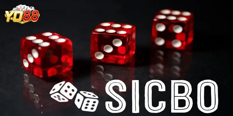 Cách Chơi Sicbo Chi Tiết Cho Tân Thủ Tại Cổng Game Yo88